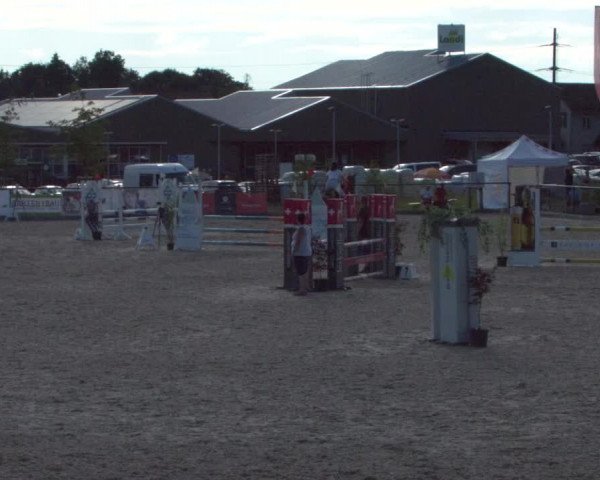 Reitturnier Gossau 2021
