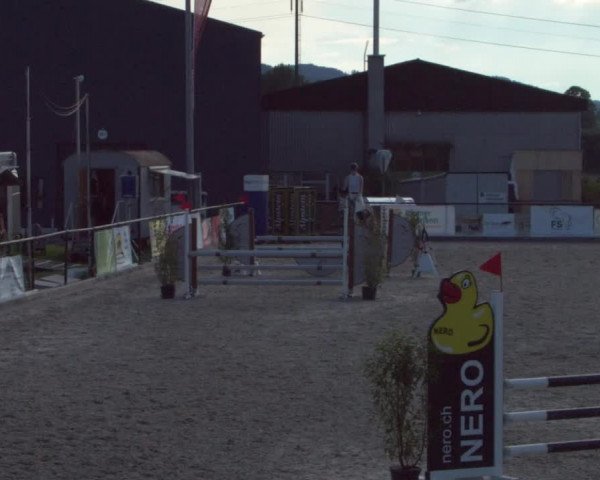 Reitturnier Gossau 2021