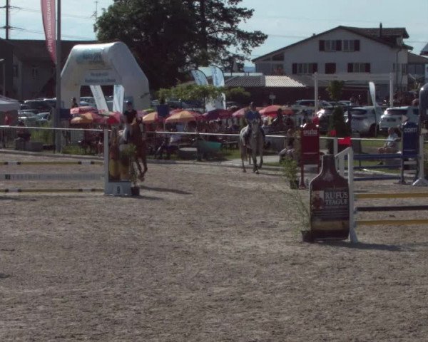 Reitturnier Gossau 2021