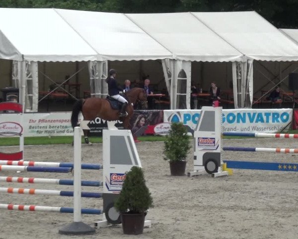 Giebelwald Classics mit Westfälische Meisterschaften Dressur und Springen 2021