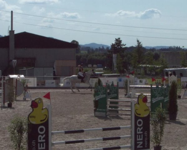 Reitturnier Gossau 2021
