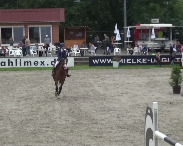 Giebelwald Classics mit Westfälische Meisterschaften Dressur und Springen 2021