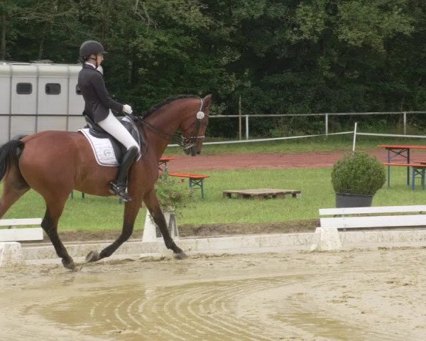 Reitturnier Heiligenwald 2021