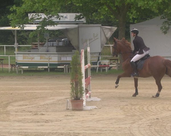 Reitturnier Heiligenwald 2021