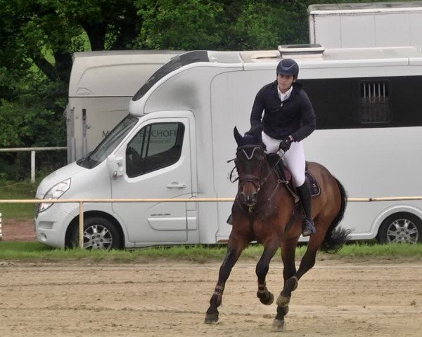 Reitturnier Heiligenwald 2021