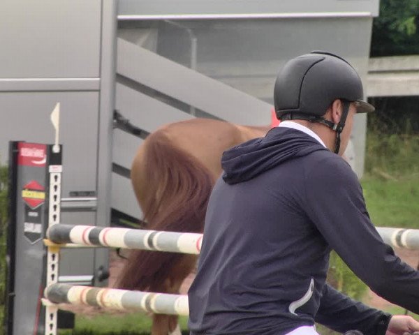 Reitturnier Heiligenwald 2021