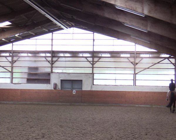 Reitturnier Münster-St. Georg 2021