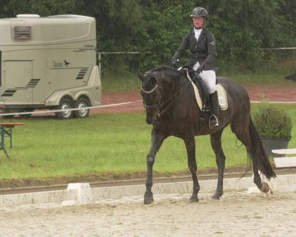Reitturnier Heiligenwald 2021