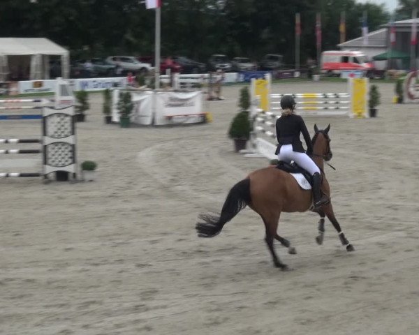 Giebelwald Classics mit Westfälische Meisterschaften Dressur und Springen 2021