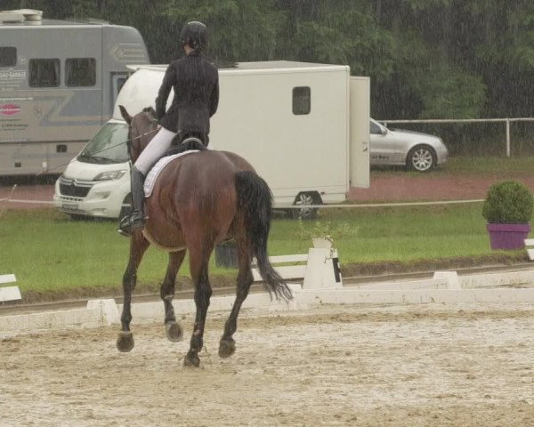 Reitturnier Heiligenwald 2021