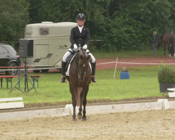 Reitturnier Heiligenwald 2021