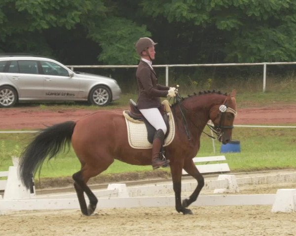 Reitturnier Heiligenwald 2021