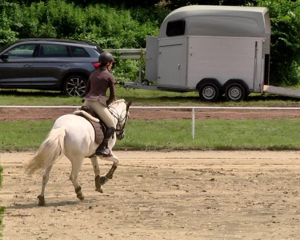 Reitturnier Heiligenwald 2021