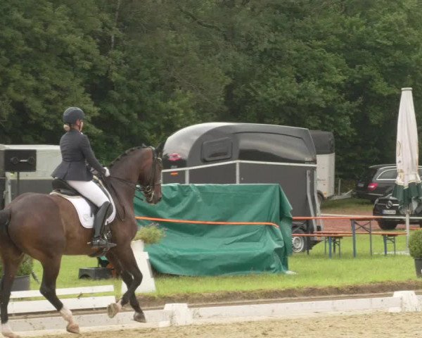 Reitturnier Heiligenwald 2021