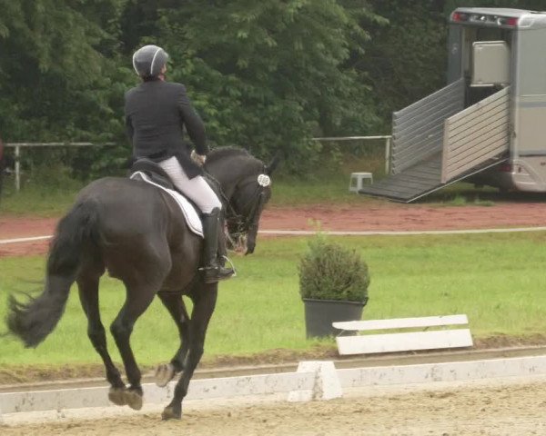 Reitturnier Heiligenwald 2021