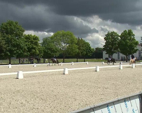 Reitturnier Rot am See- Musdorf 2021