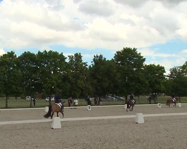 Reitturnier Rot am See- Musdorf 2021