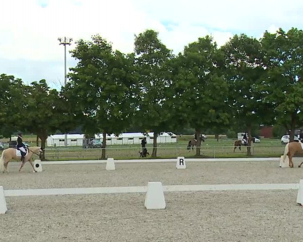 Reitturnier Rot am See- Musdorf 2021