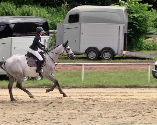Reitturnier Heiligenwald 2021