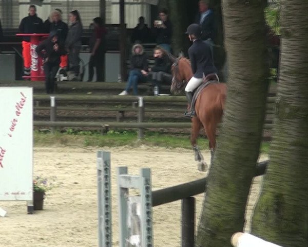 Reitturnier Marienheide-Kempershöhe 2021