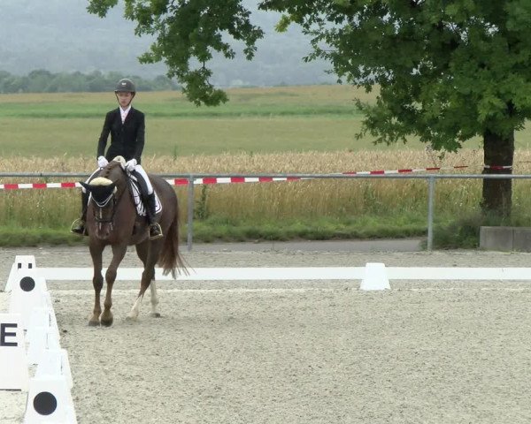 Reitturnier Ehningen 2021