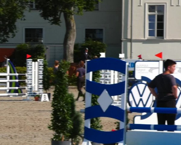 Reitturnier Neustadt/Dosse 2021