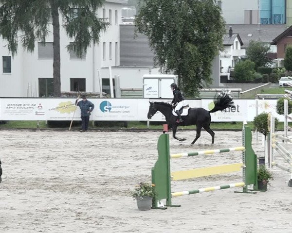 Reitturnier Dagmersellen 2021