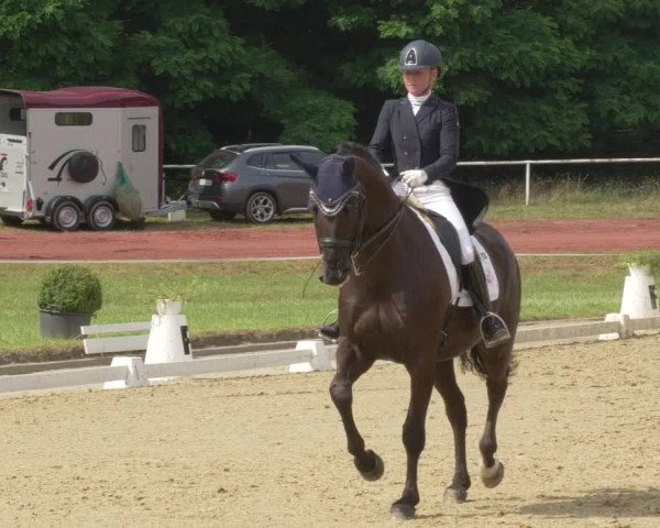 Reitturnier Heiligenwald 2021