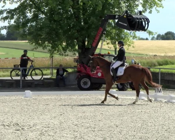 Reitturnier Ehningen 2021