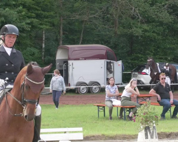 Reitturnier Heiligenwald 2021