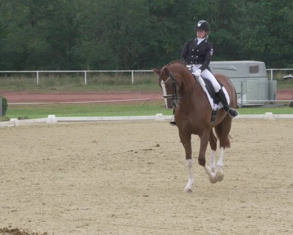 Reitturnier Heiligenwald 2021