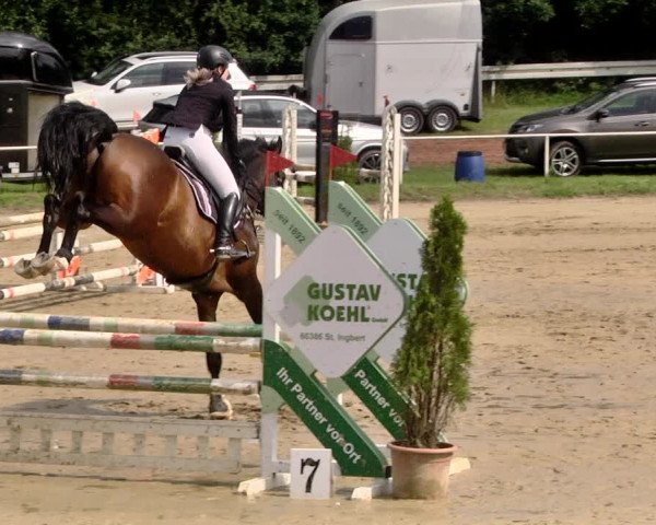 Reitturnier Heiligenwald 2021