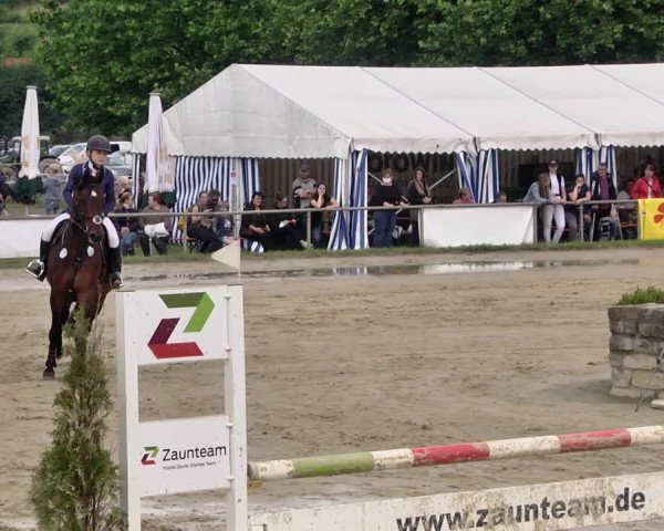 Reitturnier Heiligenwald 2021