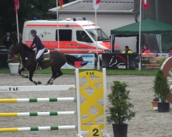 Giebelwald Classics mit Westfälische Meisterschaften Dressur und Springen 2021