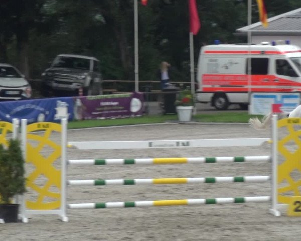 Giebelwald Classics mit Westfälische Meisterschaften Dressur und Springen 2021