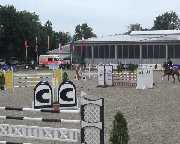 Giebelwald Classics mit Westfälische Meisterschaften Dressur und Springen 2021