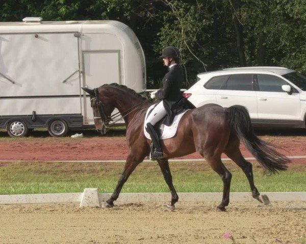 Reitturnier Heiligenwald 2021