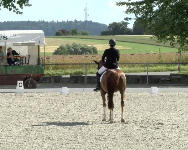 Reitturnier Ehningen 2021
