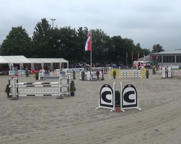Giebelwald Classics mit Westfälische Meisterschaften Dressur und Springen 2021