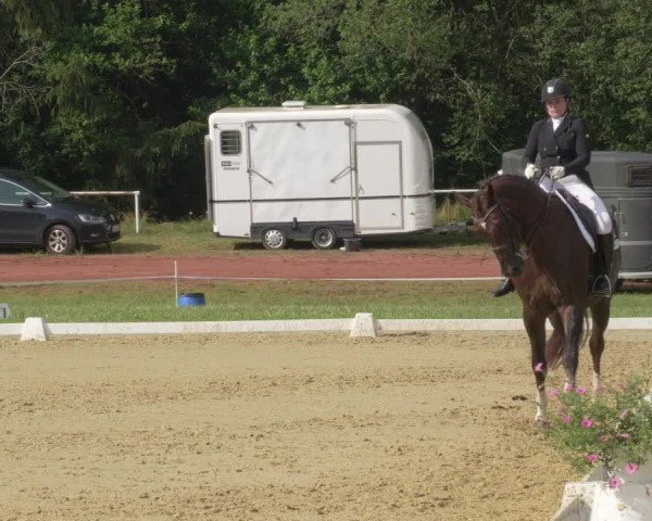 Reitturnier Heiligenwald 2021