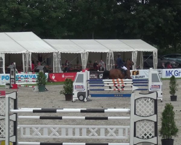 Giebelwald Classics mit Westfälische Meisterschaften Dressur und Springen 2021