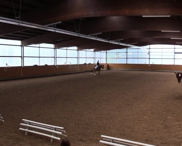 Reitturnier Herbern 2021