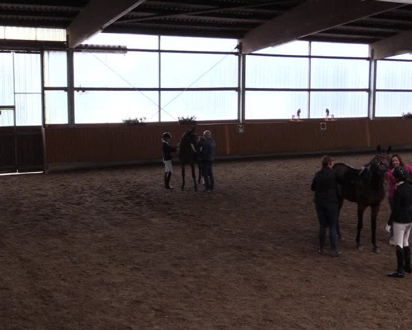Reitturnier Herbern 2021