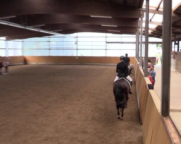 Reitturnier Herbern 2021