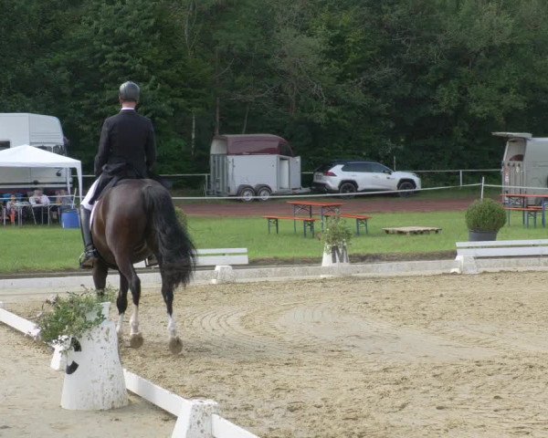Reitturnier Heiligenwald 2021