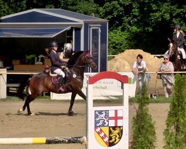 Reitturnier Heiligenwald 2021