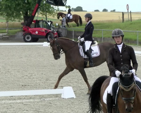 Reitturnier Ehningen 2021