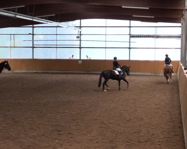 Reitturnier Herbern 2021