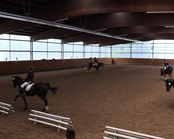 Reitturnier Herbern 2021