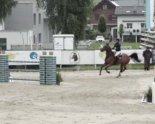 Reitturnier Dagmersellen 2021